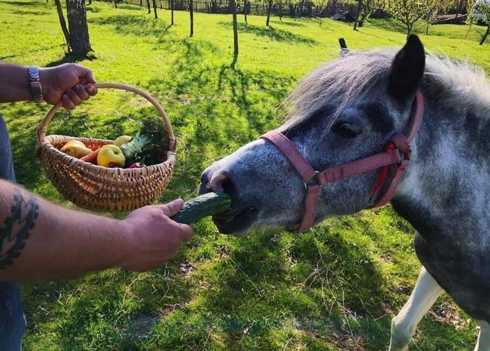 Pensiunea Gradina Ascunsa Bughea de Jos Esterno foto