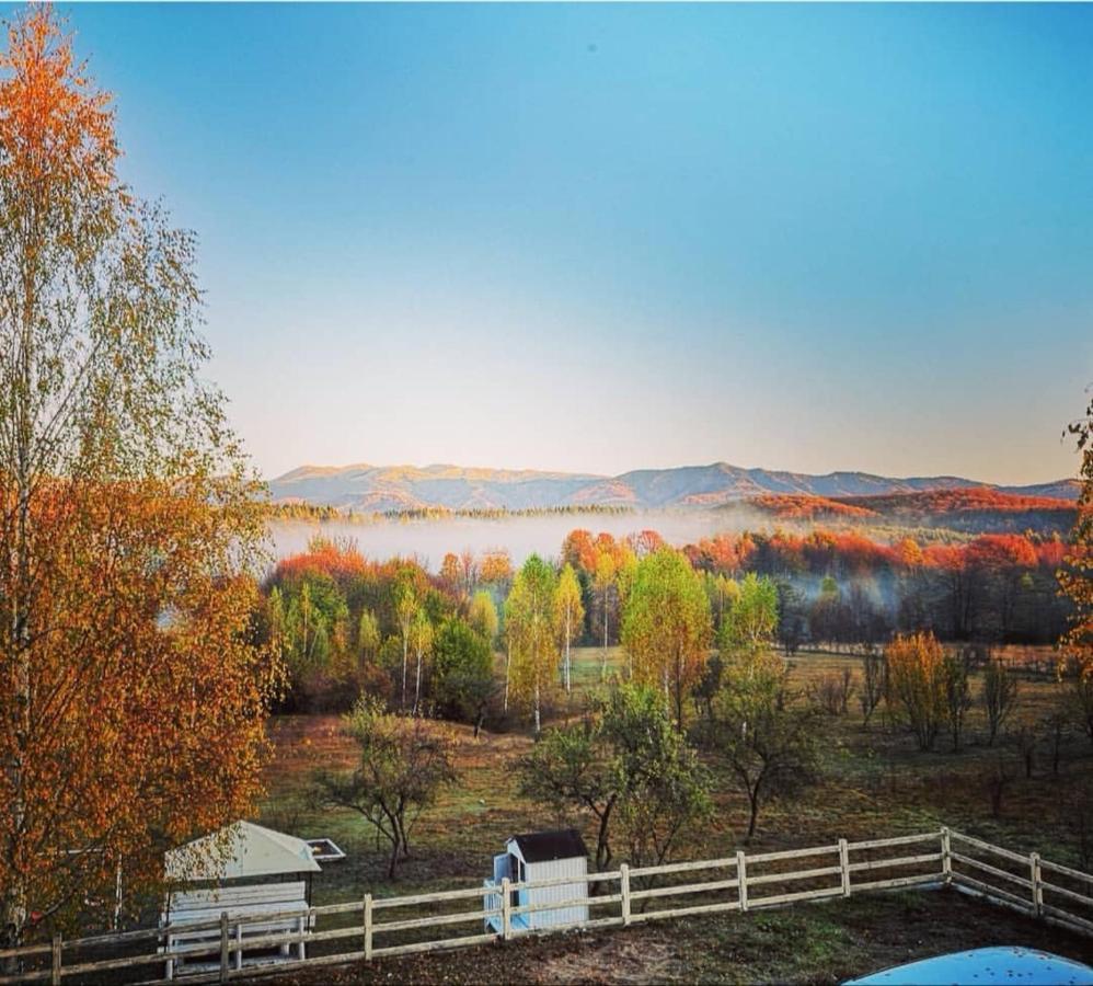 Pensiunea Gradina Ascunsa Bughea de Jos Esterno foto
