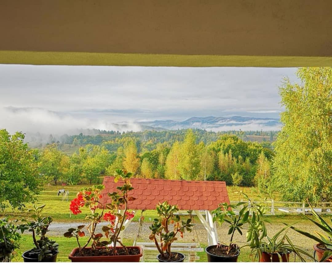 Pensiunea Gradina Ascunsa Bughea de Jos Esterno foto